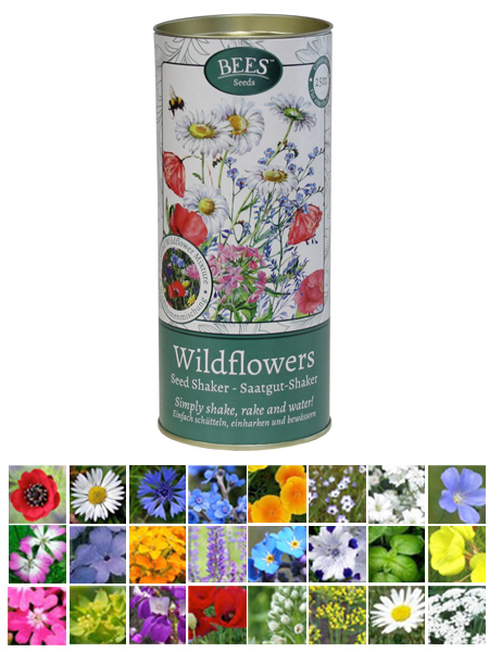 Wildflower Seed mixture